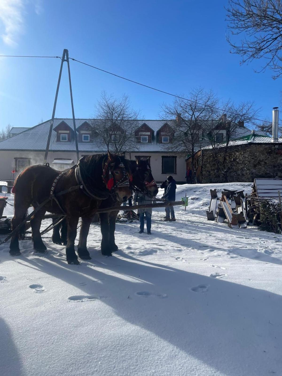 Latarnia Wagabundy Bieszczady Hotel Wola Michowa Exterior foto
