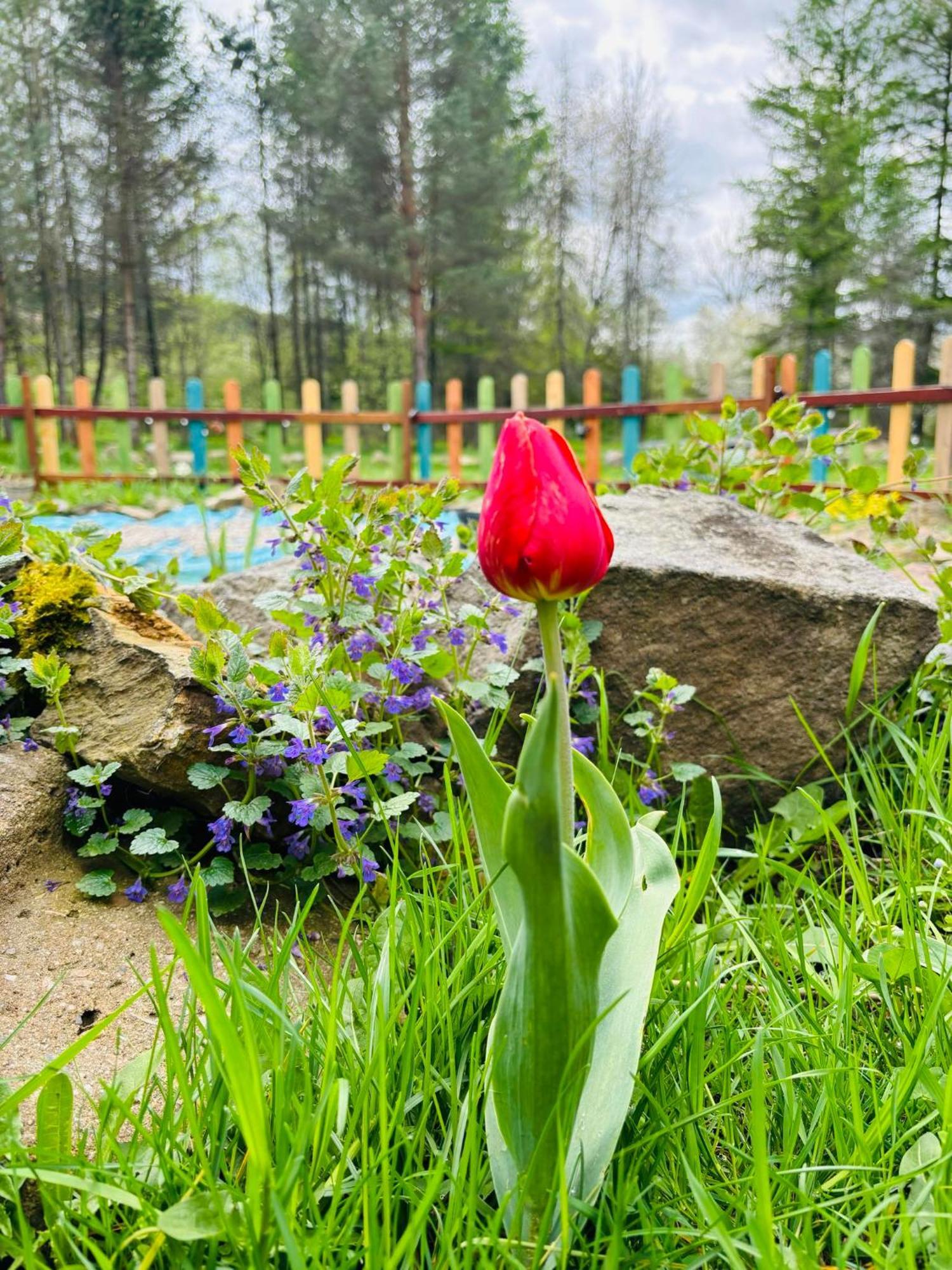 Latarnia Wagabundy Bieszczady Hotel Wola Michowa Exterior foto